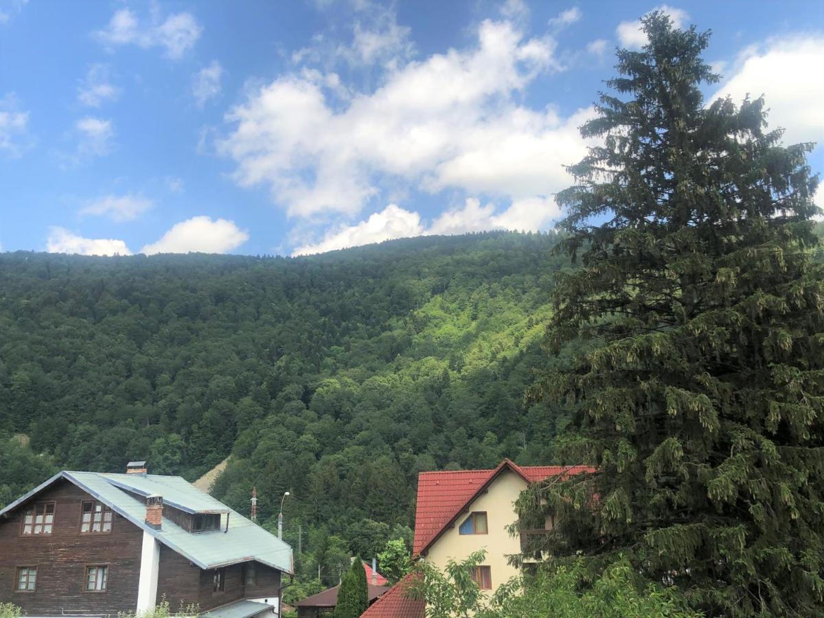 Holiday Home In Sinaia Exterior photo
